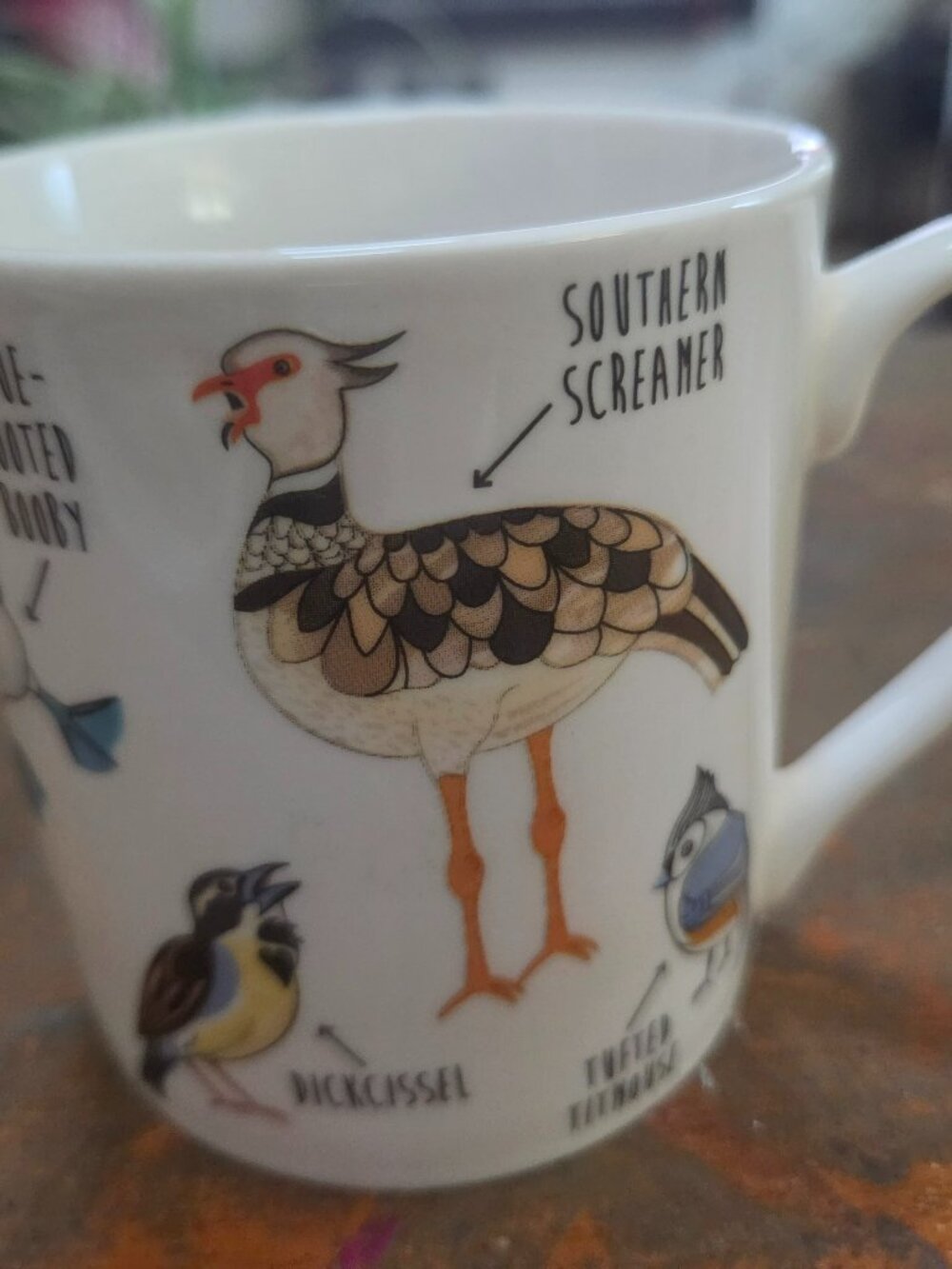 fowl language mug birds with dirty names   a great conversation piece